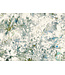 Black Edition Revestimientos de paredes Mizumi | pavo real katsura