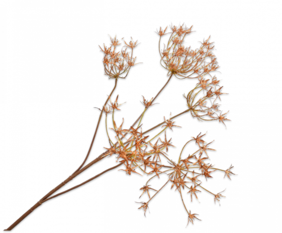 SILK-KA Dill Branch Gold | 84 cm SILK-KA Dill Branch Gold | 84 cm