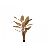SILK-KA Strelitzia Gold | 182cm SILK-KA Strelitzia Gold | 182cm