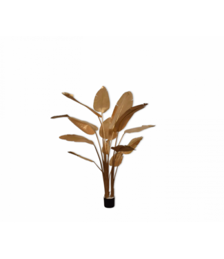 SILK-KA Strelitzia Gold | 182cm