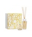 Baobab Collection Il mio primo Baobab | Confezione regalo Aurum