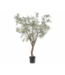 SILK-KA Olive Tree Green | 244 cm