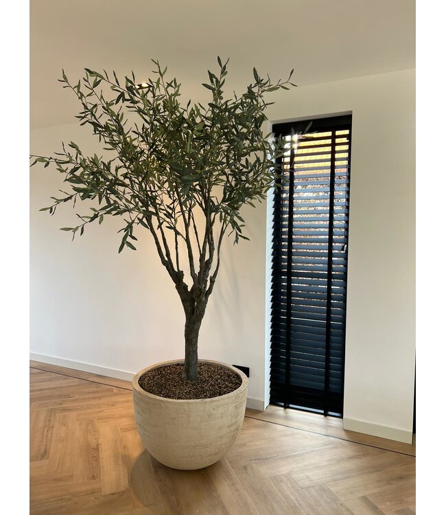 SILK-KA Olive Tree Green | 244 cm