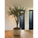 SILK-KA Olive Tree Green | 244 cm SILK-KA Olive Tree Green | 244 cm
