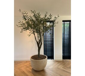 SILK-KA Olivenbaumgrün | 244 cm SILK-KA Olivenbaumgrün | 244 cm