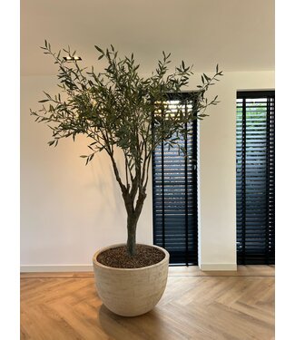 SILK-KA Vert Olivier | 244 cm