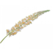 Silk-ka Eremurus Steel Peach | 119 cm Silk-ka Eremurus Steel Peach | 119 cm
