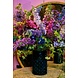 Silk-ka Delphinium Branch Lavendel | 101 cm Silk-ka Delphinium Branch Lavendel | 101 cm