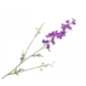 Silk-ka Delphinium Branch Lavendel | 101 cm Silk-ka Delphinium Branch Lavendel | 101 cm