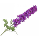 Silk-ka Delphinium Lavendel | 114 cm Silk-ka Delphinium Lavendel | 114 cm