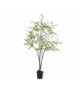 SILK-KA Bucida Groen | 218 cm