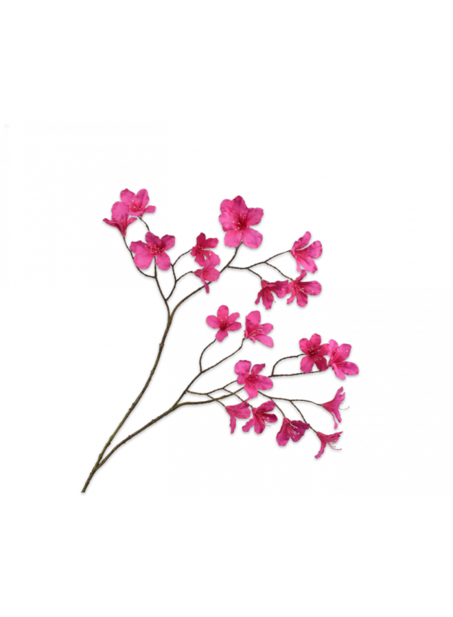 Rhododendron Branch Beauty | 125 cm
