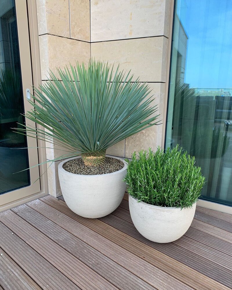 DOMANI TEXEL | Bianco Naturale 50 DOMANI TEXEL | Bianco Naturale 50