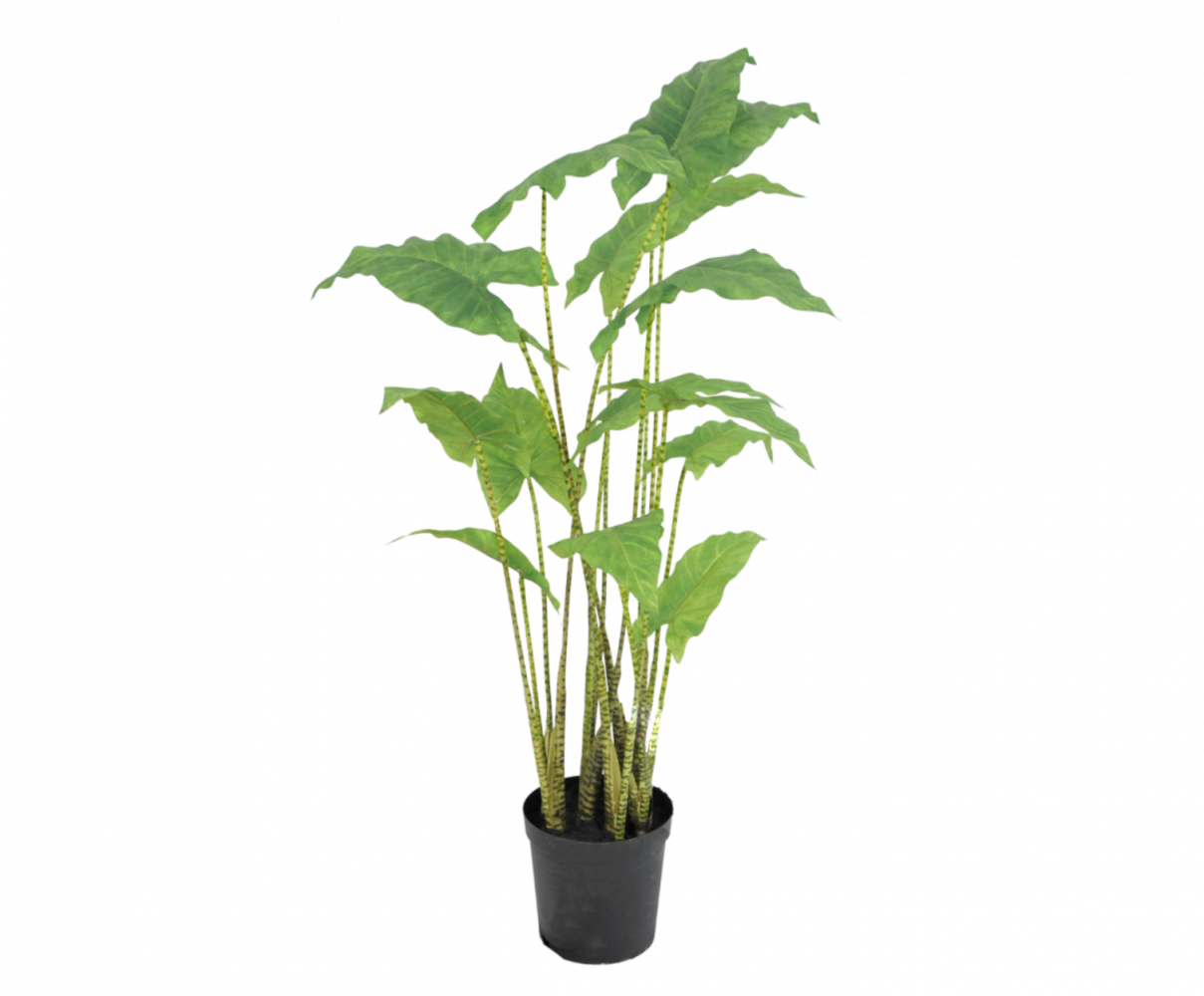 SILK-KA Alocasia Green | 126 cm SILK-KA Alocasia Green | 126 cm