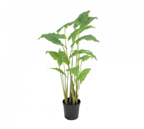 SILK-KA Alocasia Groen | 126 cm SILK-KA Alocasia Groen | 126 cm