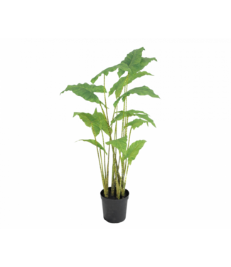 SILK-KA Alocasia Groen | 126 cm