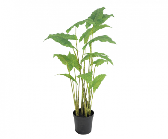 SILK-KA Alocasia Groen | 126 cm SILK-KA Alocasia Groen | 126 cm
