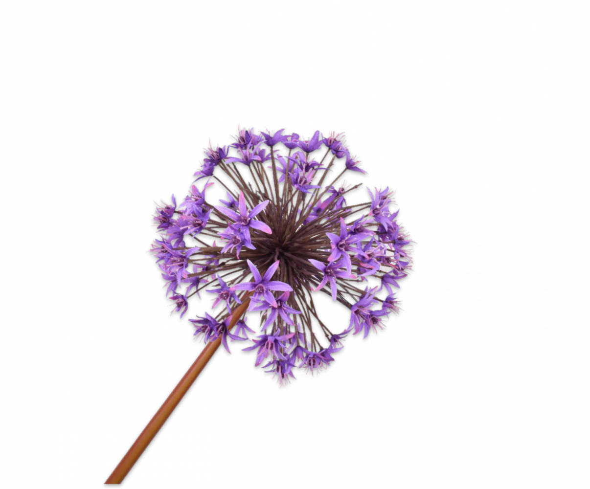SILK-KA Allium Steel Paars | 100 cm