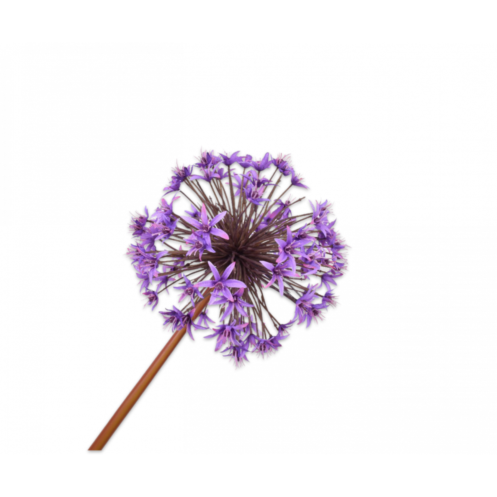 Silk-ka Allium Steel Purple | 100 cm