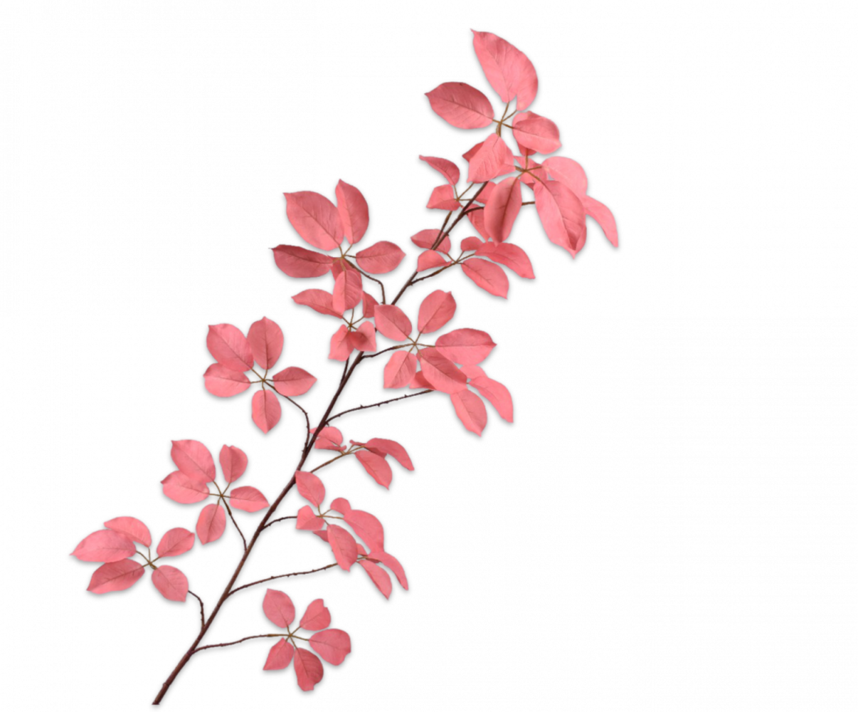 SILK-KA Bladgren Rosa | 164 cm SILK-KA Bladgren Rosa | 164 cm