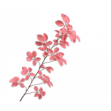 SILK-KA Bladgren Rosa | 164 cm SILK-KA Bladgren Rosa | 164 cm