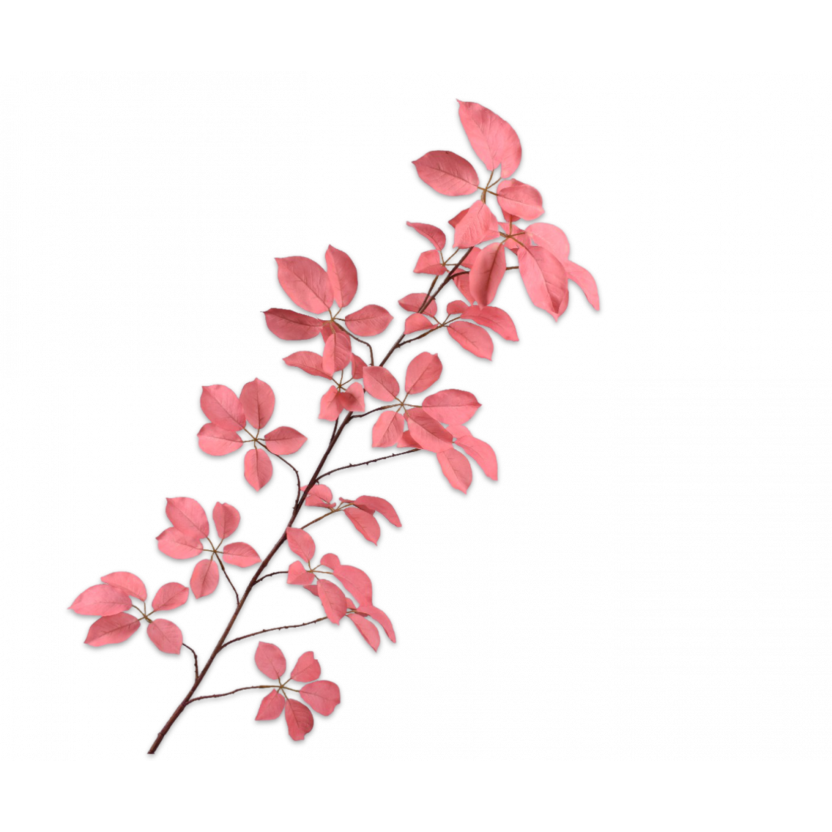 Silk-ka Feuille Branche Rose | 164cm
