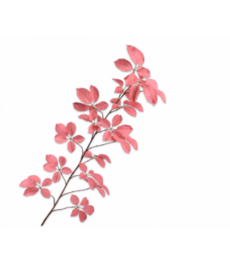 SILK-KA Hoja Rama Rosa | 164cm