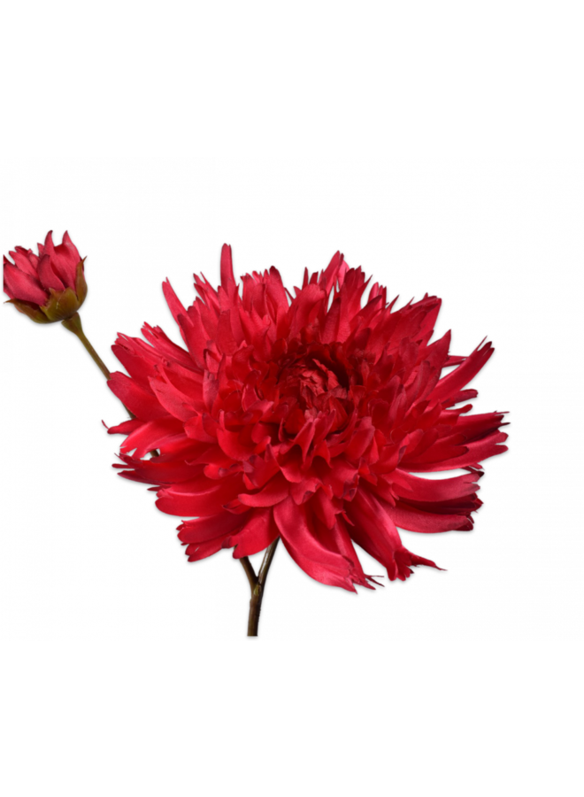 Chrysanthemum Stem Red | 78 cm