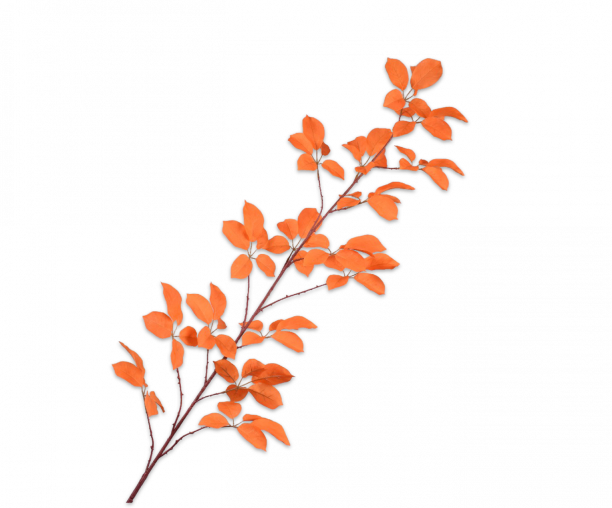 SILK-KA Leaf Branch Orange | 164 cm SILK-KA Leaf Branch Orange | 164 cm