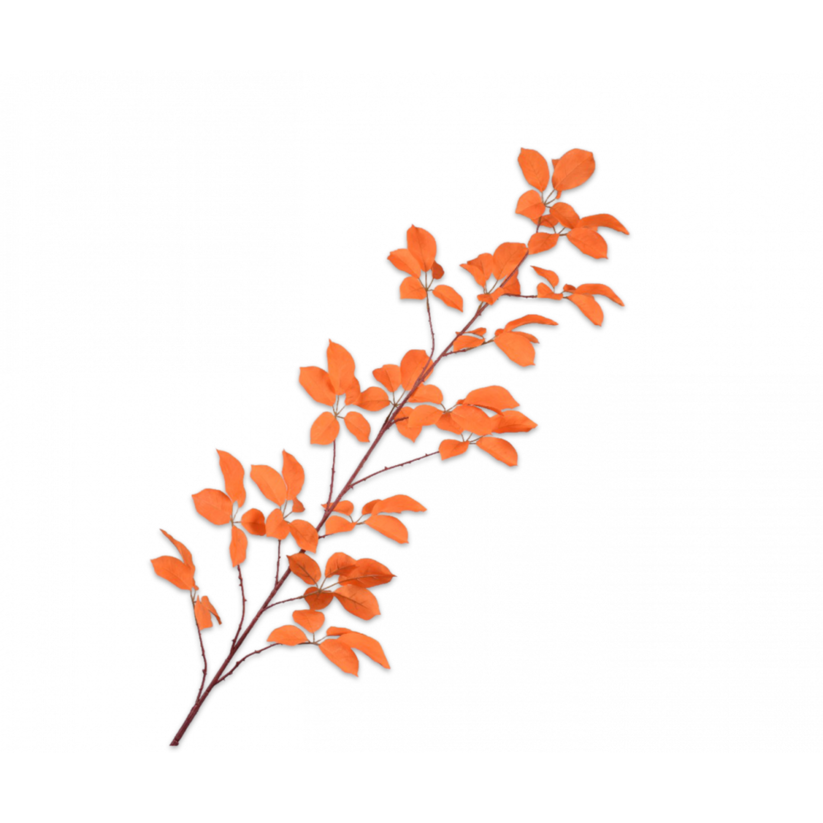 Silk-ka Feuille Branche Orange | 164cm