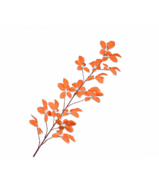 SILK-KA Hoja Rama Naranja | 164cm