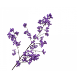 SILK-KA Bacca Ramo Viola | 110 cm