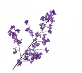 SILK-KA Beerenzweig lila | 110cm SILK-KA Beerenzweig lila | 110cm