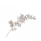 SILK-KA Crème Branche Ruscus | 112cm SILK-KA Crème Branche Ruscus | 112cm