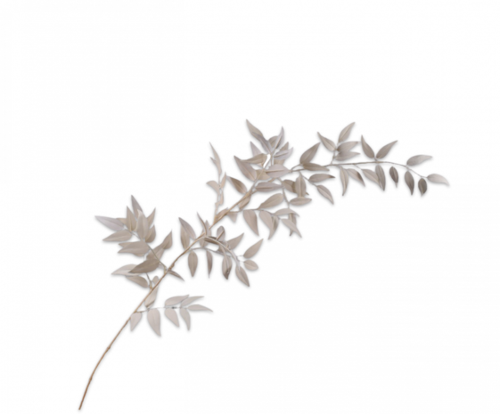SILK-KA Ruscus Branch Cream | 112 cm SILK-KA Ruscus Branch Cream | 112 cm