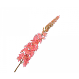 SILK-KA Eremurus acero rosa | 107cm SILK-KA Eremurus acero rosa | 107cm