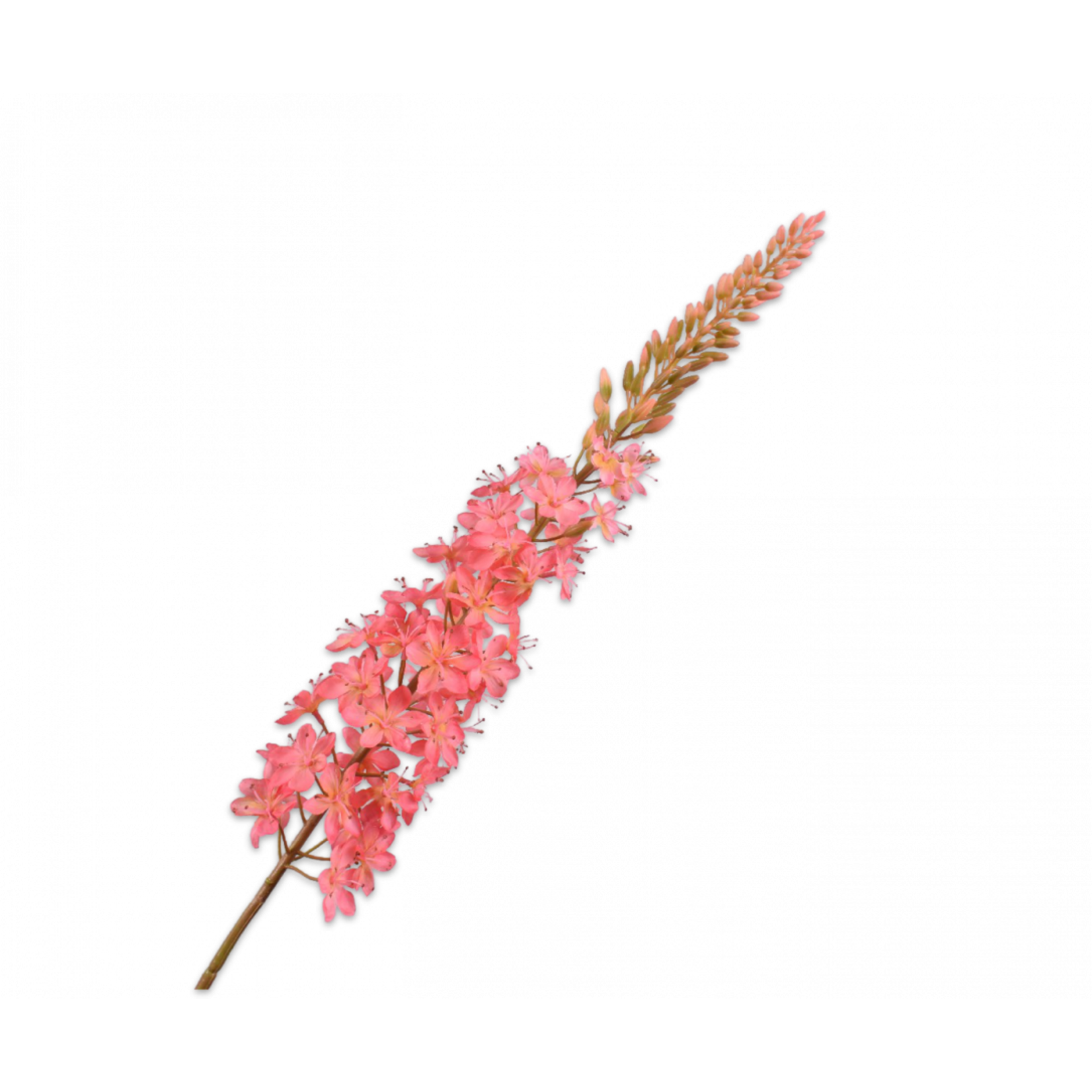 Silk-ka Eremurus Acier Rose | 107cm