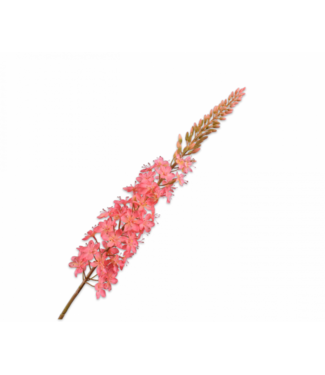 SILK-KA Eremurus Stahlrosa | 107cm