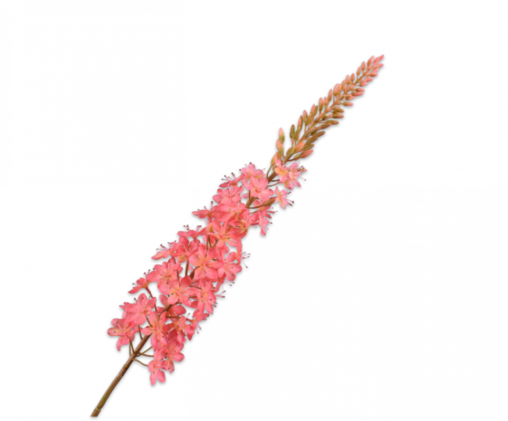 SILK-KA Eremurus acero rosa | 107cm SILK-KA Eremurus acero rosa | 107cm