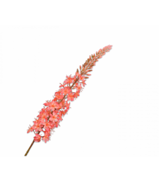 SILK-KA Salmone d'acciaio Eremurus | 107 cm