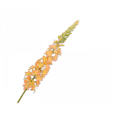 SILK-KA Eremurus acero amarillo | 107cm SILK-KA Eremurus acero amarillo | 107cm