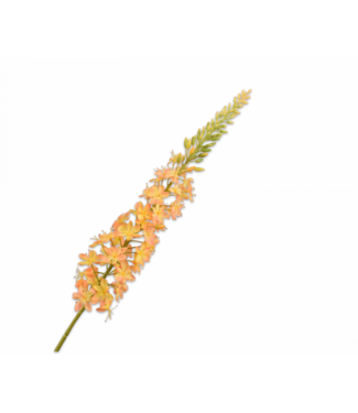 SILK-KA Eremurus Steel Geel | 107 cm