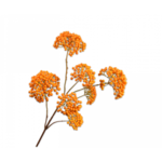 Silk-ka Berry branch Orange | 101 cm