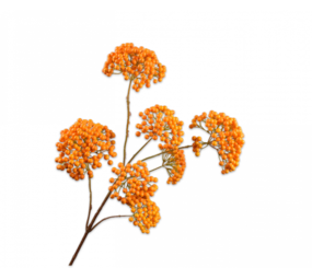 SILK-KA Ramo di bacche Arancio | 101 cm SILK-KA Ramo di bacche Arancio | 101 cm
