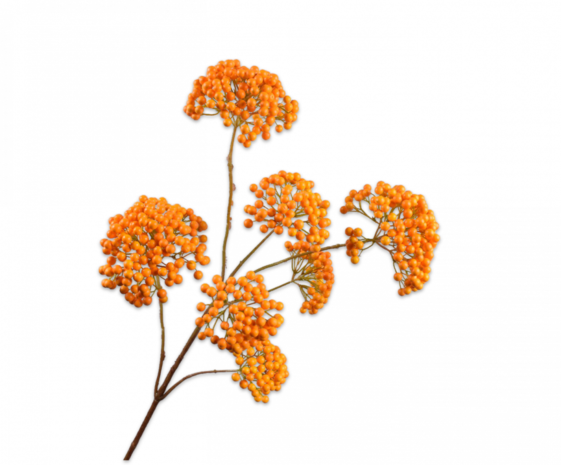 SILK-KA Beerenzweig Orange | 101cm SILK-KA Beerenzweig Orange | 101cm