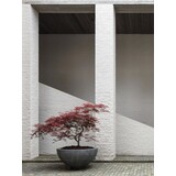 DOMANI HALVSKÅL I SINK