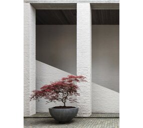 DOMANI HALVSKÅL I SINK