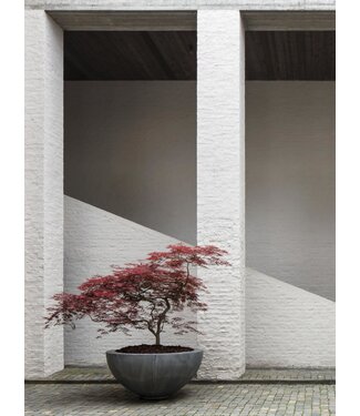 DOMANI ZINC HALF BOWL