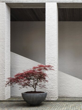 DOMANI DEMI-BOL EN ZINC DOMANI DEMI-BOL EN ZINC