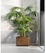 Royal Botania Fioriera cubo Cuprum 110x110 cm